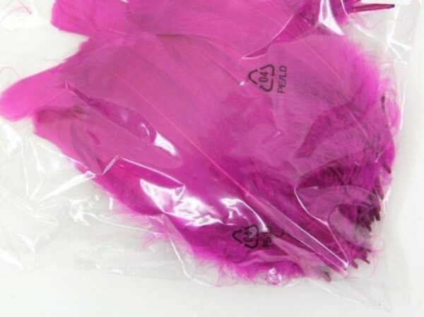 Decorative Feathers