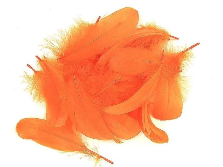Decorative Feathers ORANGE
