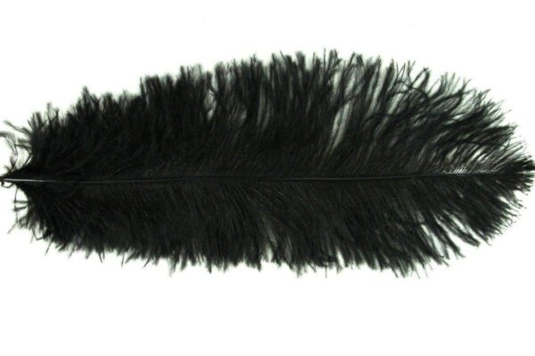 Decorative Feathers