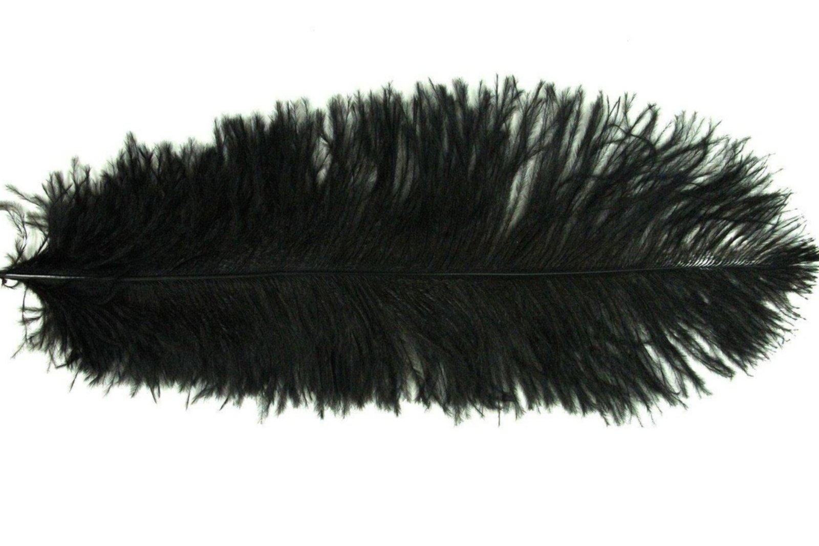 Decorative Feathers