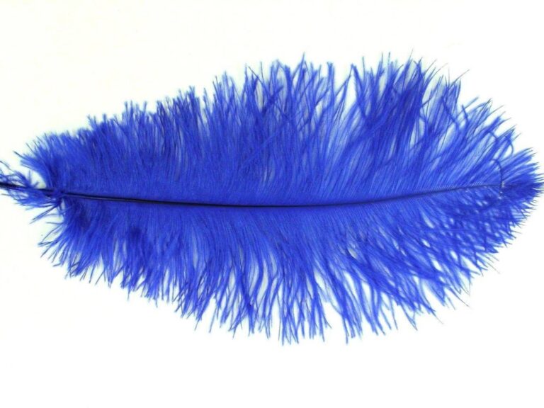 Decorative Feathers BLUEBELL/COBALT