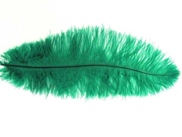 Decorative Feathers