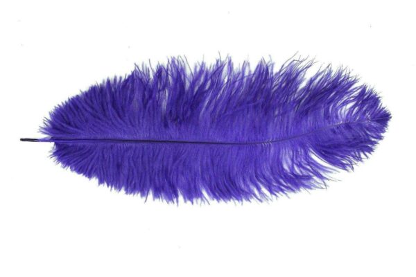 Decorative Feathers