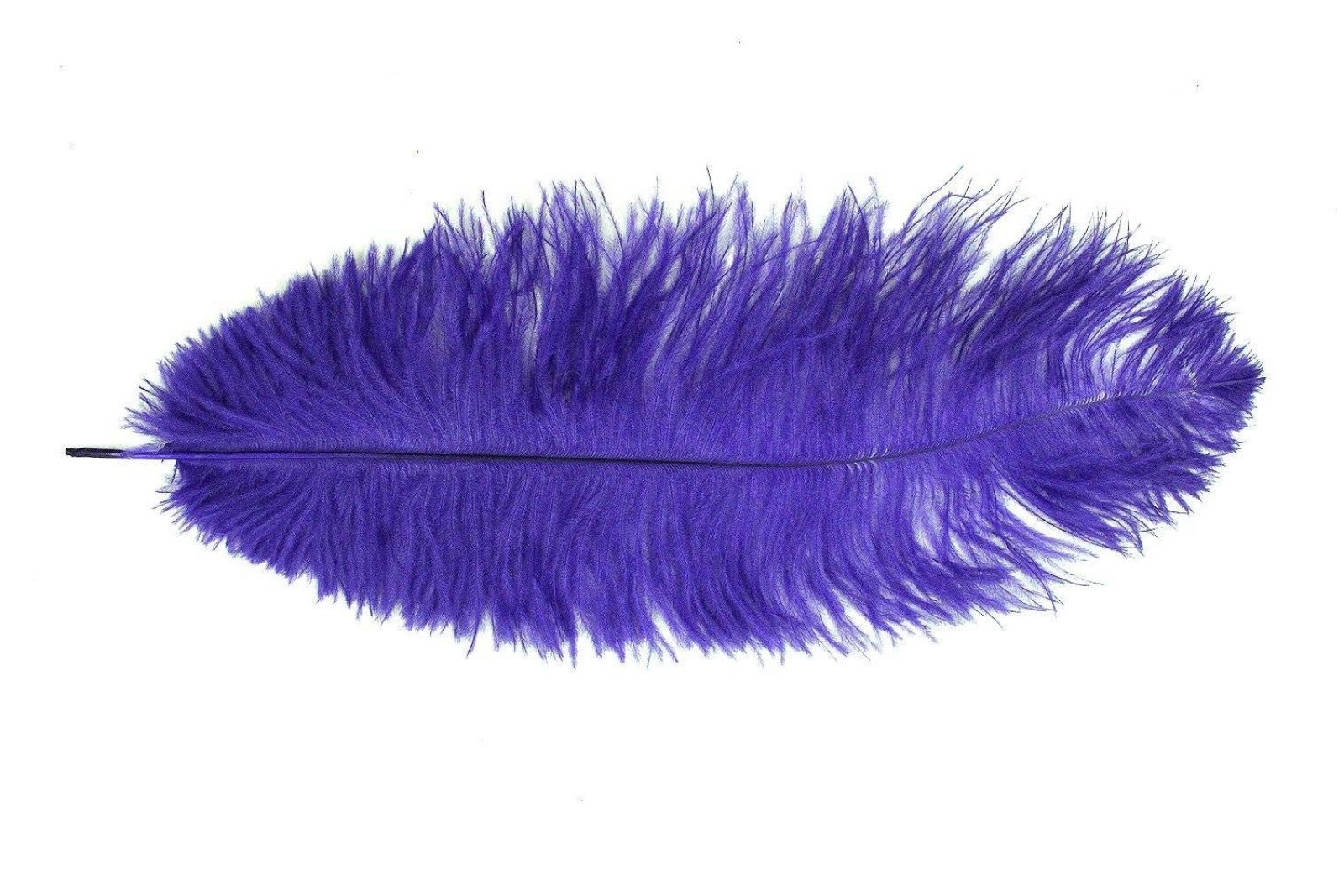 Decorative Feathers