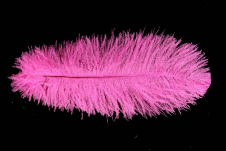 Decorative Feathers ROSE PINK/PINK TROPICANA
