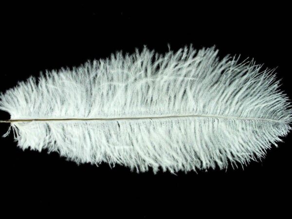 Decorative Feathers