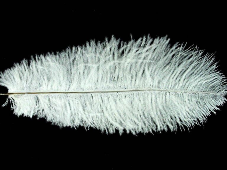 Decorative Feathers WHITE