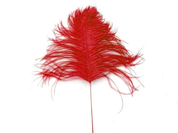Decorative Feathers