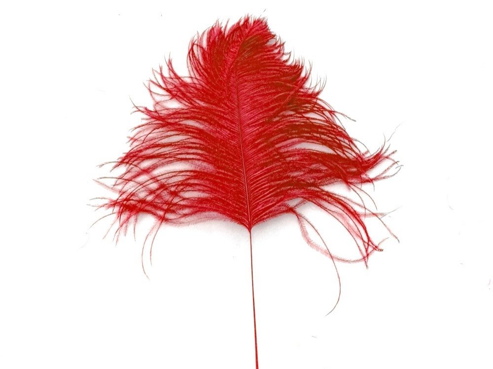 Decorative Feathers