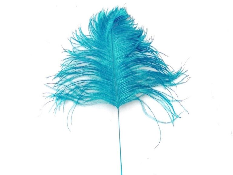 Decorative Feathers TURQUOISE