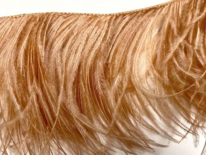 Ostrich Feather Fringe Trim CAPPUCCINO