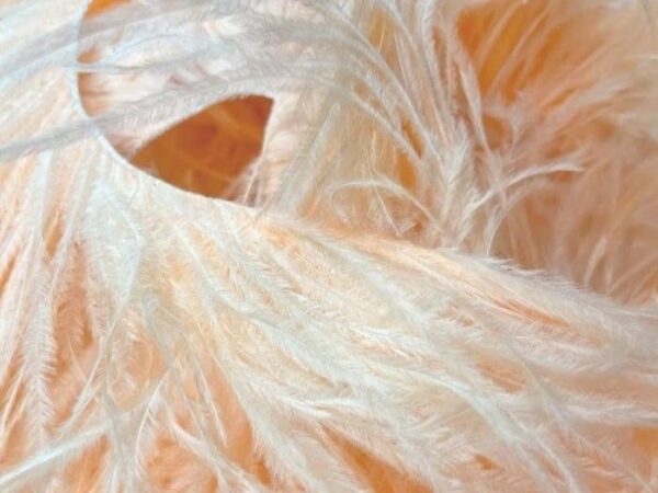 Ostrich Feather Fringe Trim