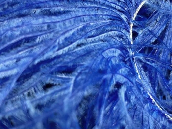 Ostrich Feather Fringe Trim COBALT