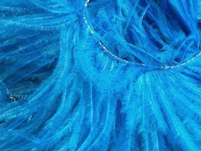 Ostrich Feather Fringe Trim ELECTRIC BLUE