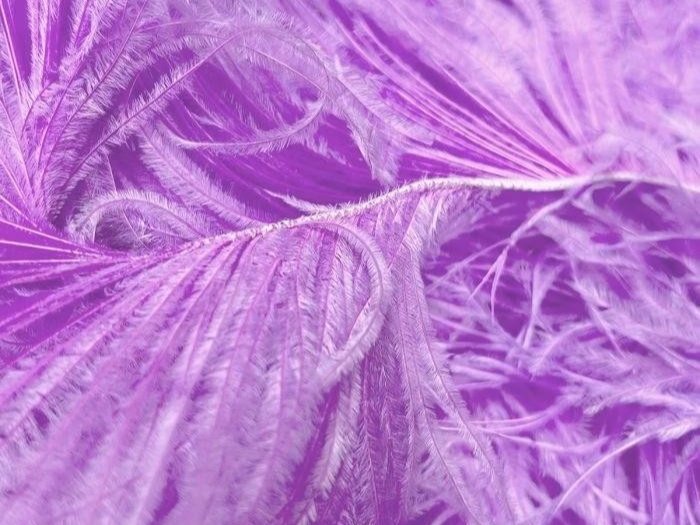 Ostrich Feather Fringe Trim LILAC DREAM