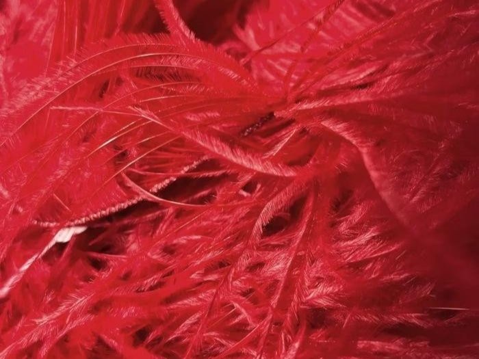 Ostrich Feather Fringe Trim RED
