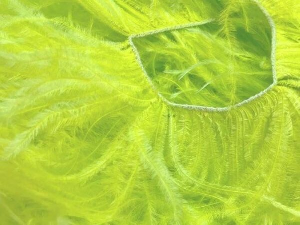Ostrich Feather Fringe Trim