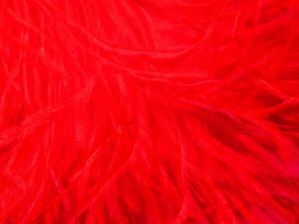 Pure Ostrich Feather Boa Lux 6 Ply