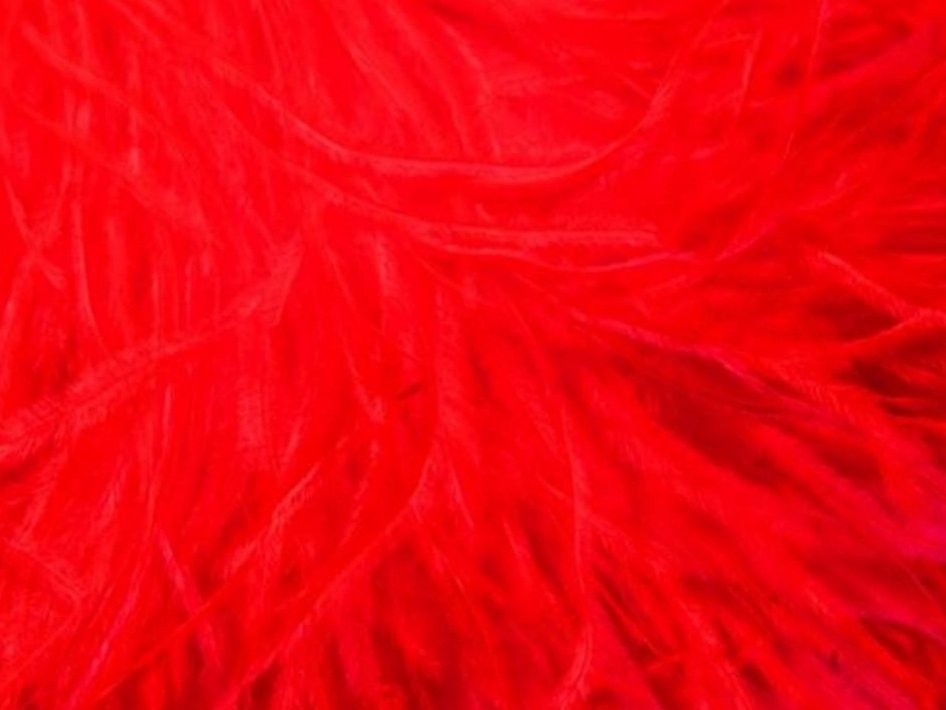 Pure Ostrich Feather Boa Lux 6 Ply