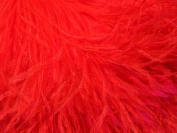 Pure Ostrich Feather Boa Lux 6 Ply
