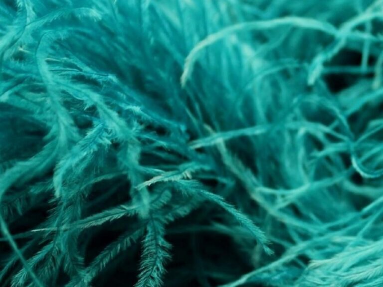 Pure Ostrich Feather Boa Lux 6 Ply PEACOCK BLUE