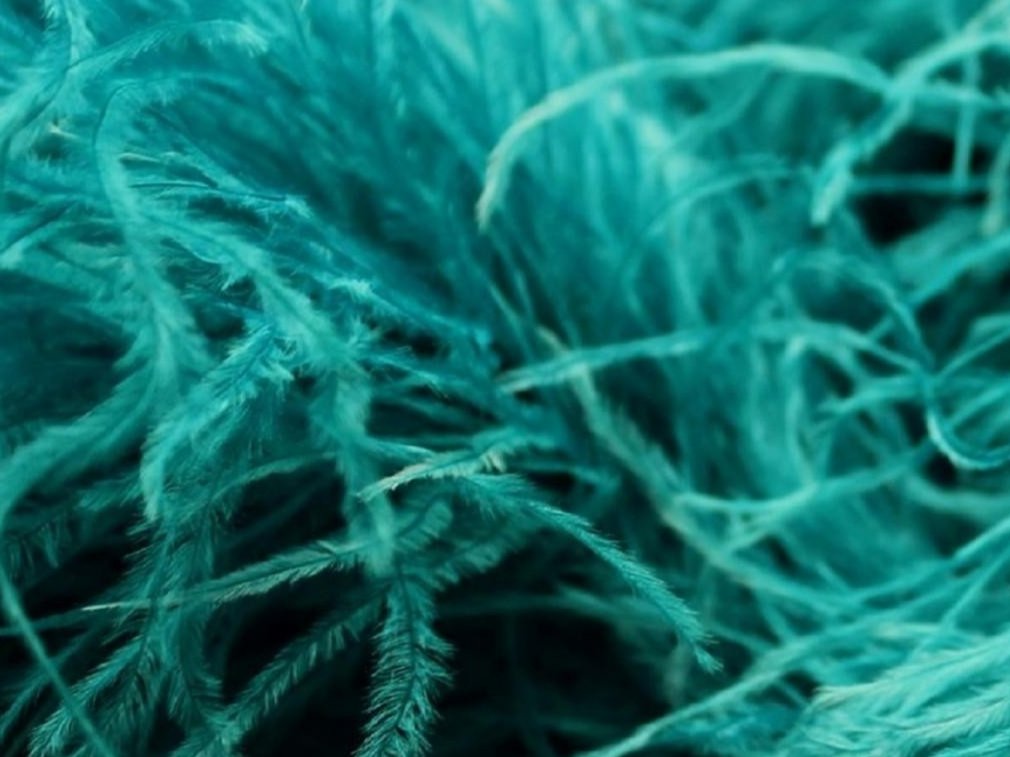 Pure Ostrich Feather Boa Lux 6 Ply