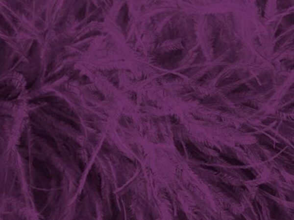 Pure Ostrich Feather Boa Lux 6 Ply