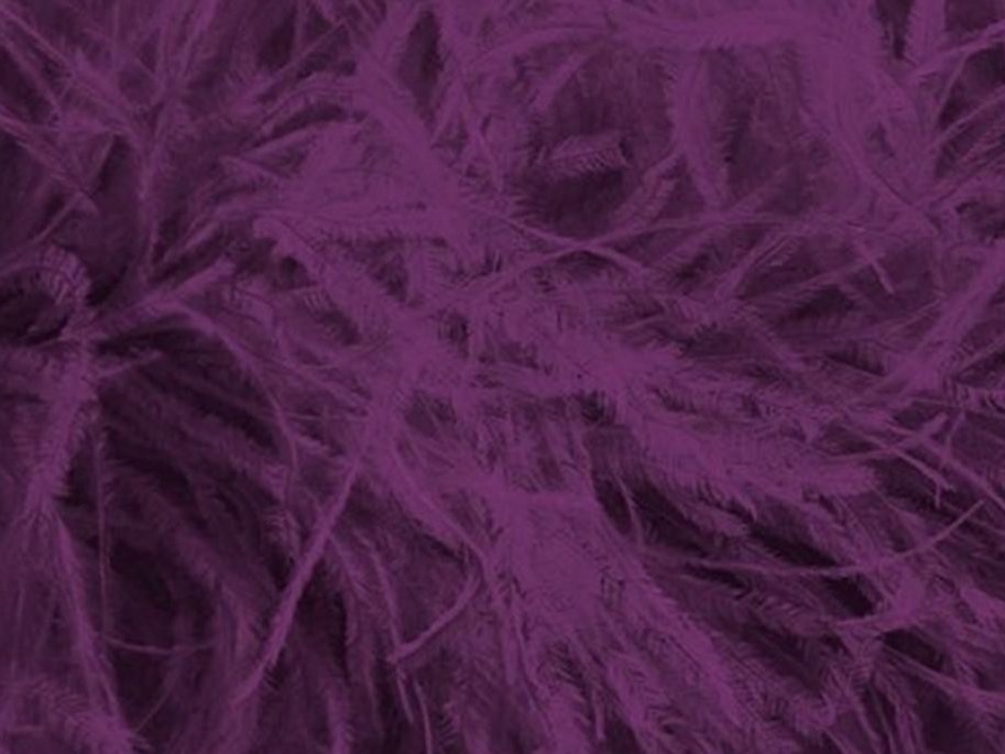 Pure Ostrich Feather Boa Lux 6 Ply