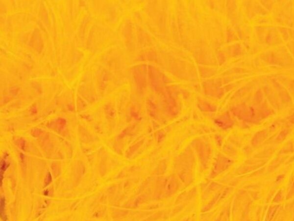 Pure Ostrich Feather Boa Lux 6 Ply