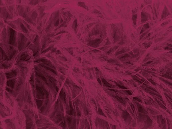Pure Ostrich Feather Boa Lux 6 Ply