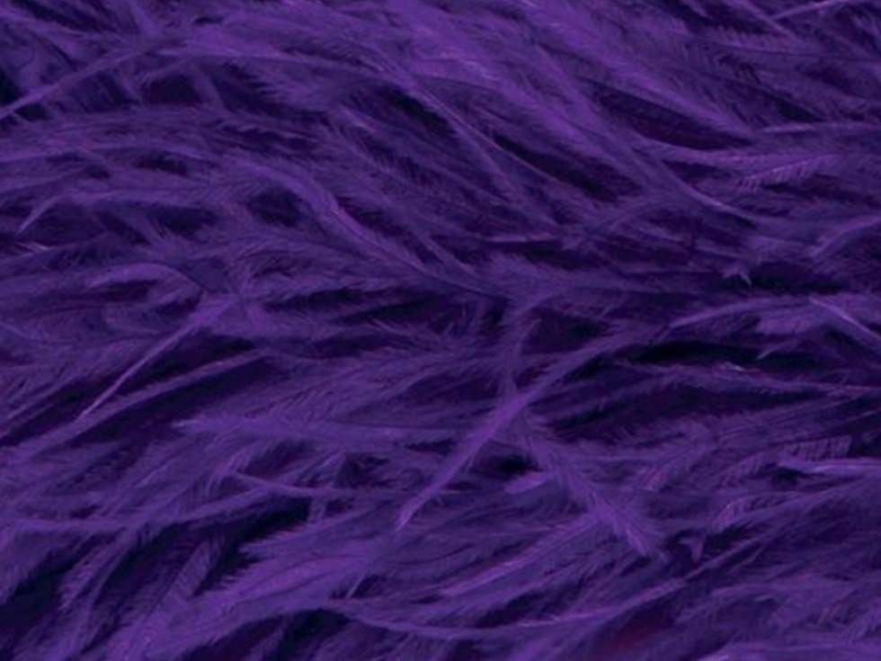 Pure Ostrich Feather Boa Lux 6 Ply