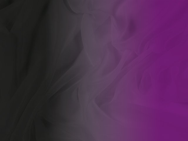 Shading On Georgette - Chrisanne Clover BLACK/HOT MAGENTA