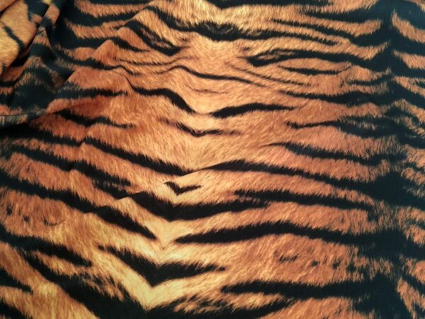 Print On Lycra