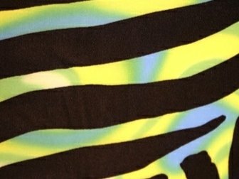 Print On Lycra ANIMAL PRINT/BLACK/TROPIC LIME
