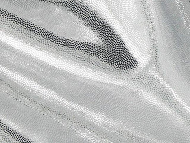 Lycra Metallic Dot - Chrisanne Clover - SILVER/WHITE