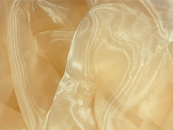 Organza - Chrisanne Clover