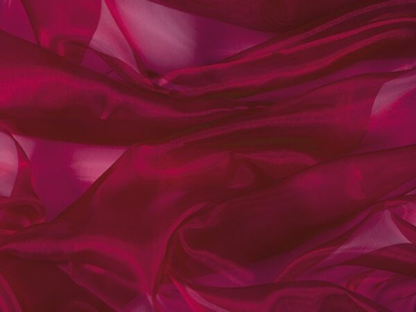 Organza - Chrisanne Clover