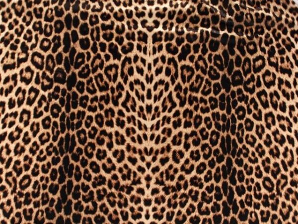 Satin Chiffon Print