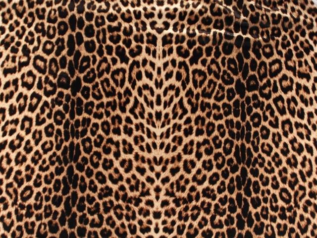Satin Chiffon Print ANIMAL PRINT