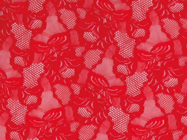 Floral Cascade Stretch Lace RED