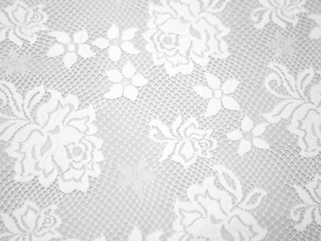 Rose Stretch Lace WHITE