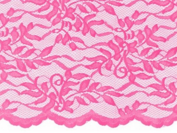 Elsa Stretch Lace