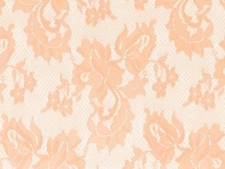 Spanish Rose Stretch Lace CHAMPAGNE