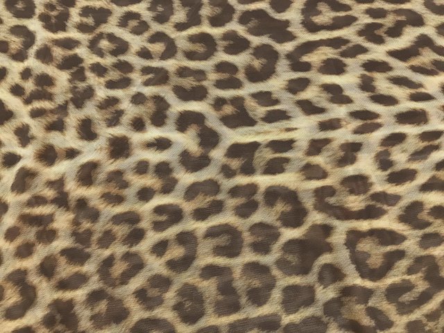 Stretch Net Print ANIMAL PRINT