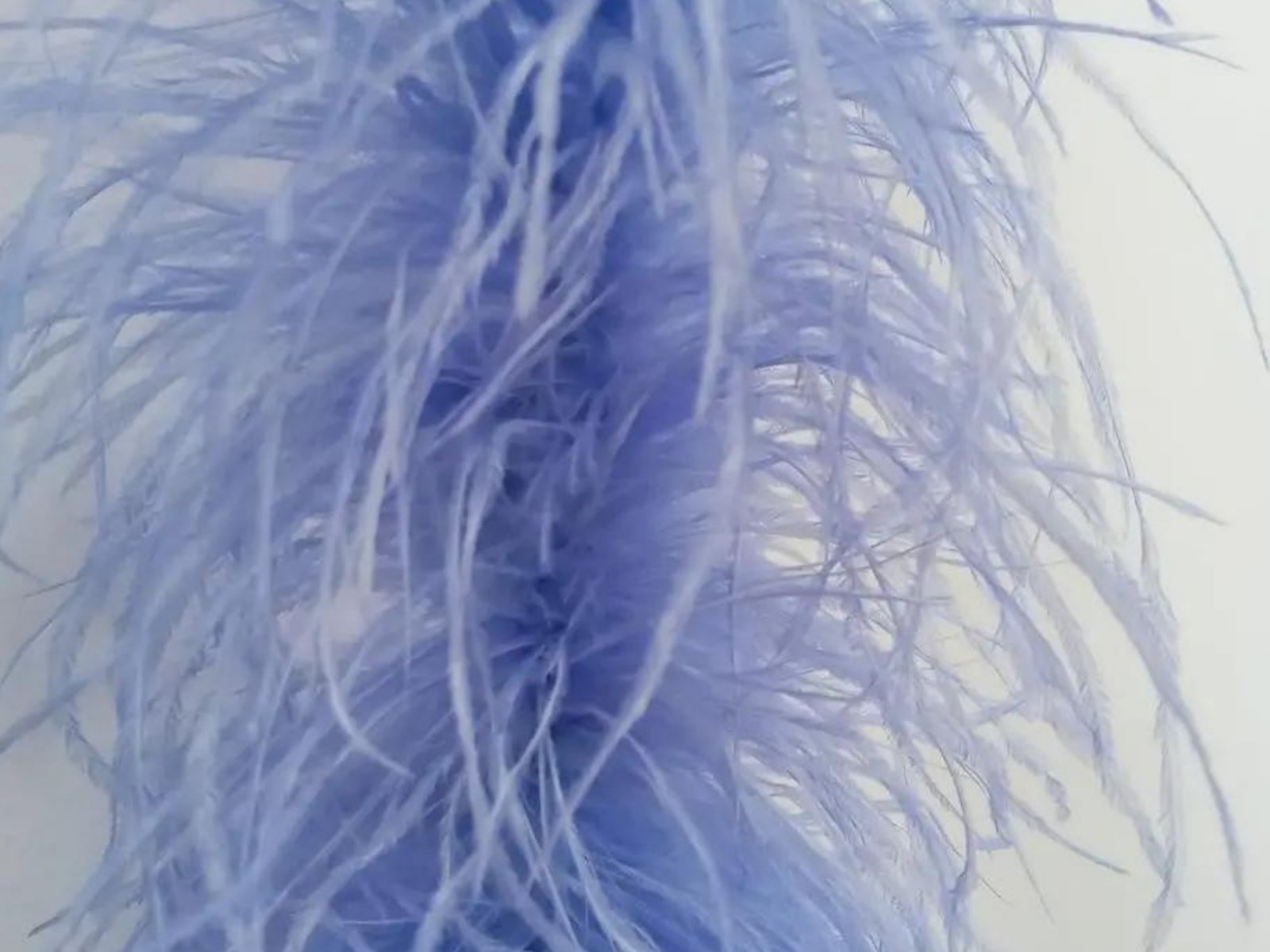 Ostrich Feather Boa 4 Ply