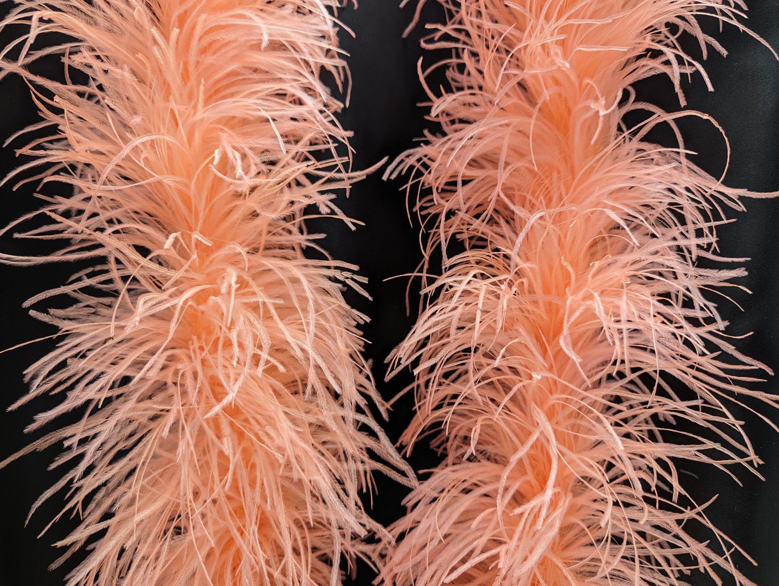 Ostrich Feather Boa Lux 5 Ply