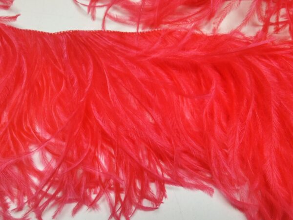 Ostrich Feather Fringe Trim 12-15 Cm