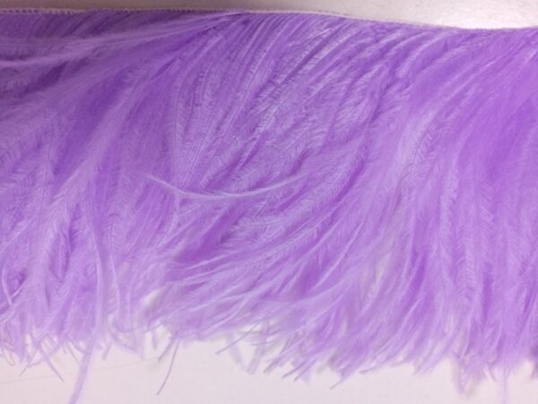 Ostrich Feather Fringe Trim 12-15 Cm