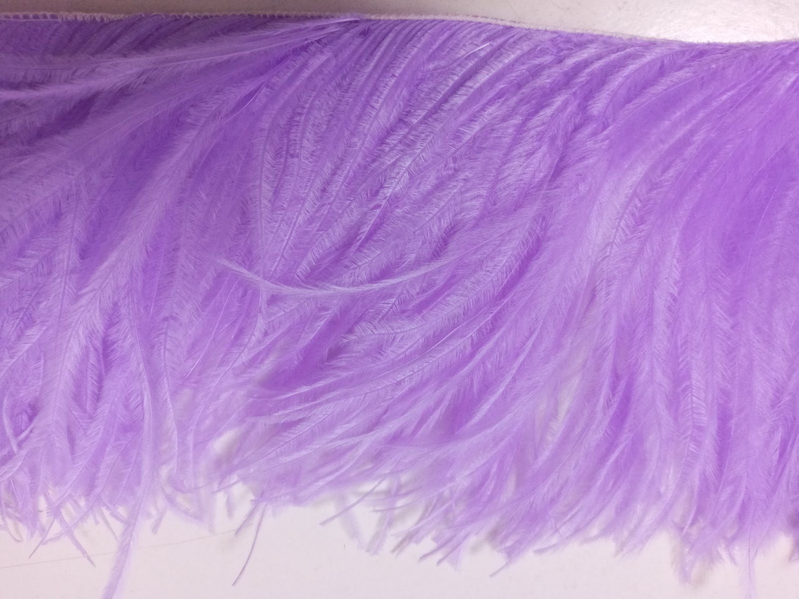 Ostrich Feather Fringe Trim 12-15 Cm