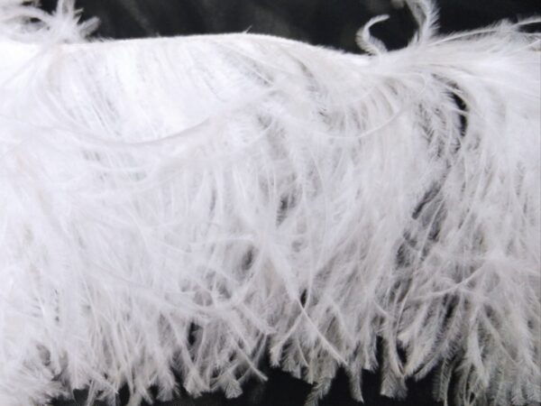 Ostrich Feather Fringe Trim 12-15 Cm
